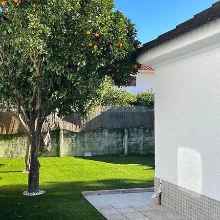 Villa Le Nid De L Atlantique- Lisbonne- Plages